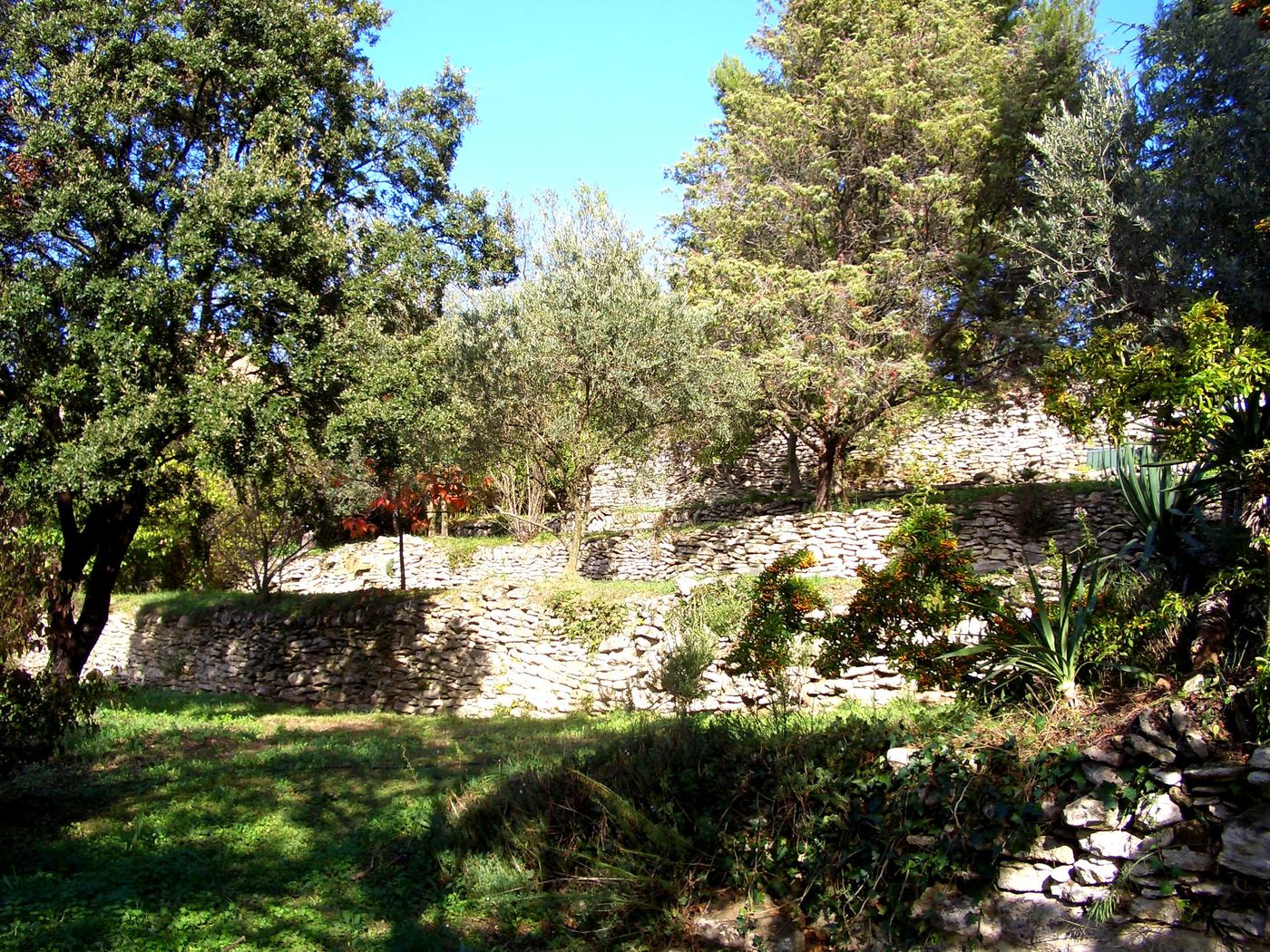 Weg durch den Garten zwischen mediterranen Pflanzen